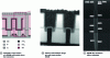 Figure 1 - Schematic cross-section of a DRAM cell located above the transistors, transmission electron image of a DRAM cell cross-section and DRAM trench located in the silicon substrate (after [1] [2]).