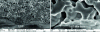 Figure 5 - SEM micrographs of YSZ/YSZ substrate surface sections (thin film by ALD)/LSM)[28].