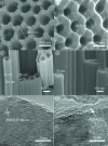 Figure 11 - Scanning and transmission electron micrographs of TiO2 nanotubes before (left) and after (right) ultrathin Al2O3 deposition. Top (a,b) and side (c,d) views and transmission electron micrographs of tube surfaces (e,f). From [62]