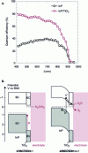 Figure 14 - A. Quantum efficiency of an InP photoelectrode coated or uncoated with TiO2. B. Band structure of the InP/TiO2/electrolyte junction. Adapted from [37]