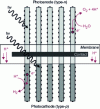 Figure 4 - Artificial foil concept. Monolith of p- and n-type Si coated with catalysts. Adapted from [26]