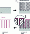 Figure 6 - Example of a process for the production of nanostructures by ALD of a material (MALD) in a nanoporous alumina membrane-type template.