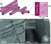 Figure 7 - Core-shell structure consisting of a TiSi2 lattice coated with Fe2O3. (a) Schematic representation and band structure, transmission electron micrographs of the TiSi2-Fe2O3 core-shell structure (b) at low magnification and (c) at high resolution. The insets shown in (c) correspond to the representation of the lattice in very high resolution and the electron diffraction pattern. According to [47]