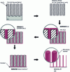 Figure 9 - Example of a network of coaxial nano-cylinders composed of 2 thin films