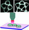 Figure 10 - Oxide-based microrings with femtoliter capacitance for micro-Raman spectroscopy applications (reproduced with permission [72]. Copyright 2010, American Chemical Society)