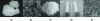 Figure 2 - a) Example of a natural zeolite, b) scanning electron microscopy image of mesoporous grain from DI Renzo et al [1], c) macroscopic view of a mesoporous powder, d) macroscopic view of mesoporous monolith and e) their macroporous structure, from Babin et al [2].