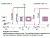 Figure 4 - Schematic representation of the fraction f of liquid contained in a nanopore as a function of the difference Δμ in chemical potential from the saturated state.