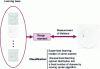 Figure 5 - Automatic classification