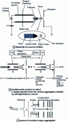 Figure 3 - Schematics of liquid-tip ion sources and primary ion selection