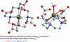 Figure 15 - Representation of the DyDOTA molecule and its magnetic anisotropy axis (orange arrow). (according to [69])