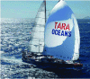 Figure 2 - Schooner Tara during the Tara Oceans expedition(https://oceans.taraexpeditions.org)