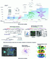 Figure 5 - Sampling and analysis methods used during the Tara Oceans expedition [8].