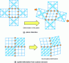 Figure 9 - Deformation of heterogeneous structures under the action of an external force (the red disks correspond to attachment points between the various structures).