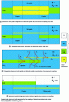 Figure 9 - Schematic diagram of evanescent coupling excitation (inspired by [7])