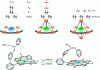 Figure 5 - Electronic configurations of the Ni(II) ion in different coordinating environments with an example of molecules synthesized to promote the LD-CISSS effect [56].