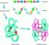 Figure 1 - Simplified protein structures