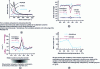 Figure 14 - a) Low-wavenumber spectrum of a polyamide 66 (PA 66) fiber, spectral region of lattice modes as a function of medium- and long-range organization. Figures b, c and d show the variations of certain spectral parameters measured across a diameter of the fiber, in different states: raw, from production and annealed at different temperatures below or above the glass transition temperature (Tg).