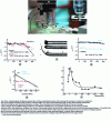 Figure 19 - Analysis of the mechanical behavior in uniaxial tension of high-performance PA66 polyamide fibers from two producers (A and B).