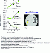 Figure 21 - Comparison of the evolution of three Raman vibration modes characteristic of the nanostructure of a polyamide 66 fiber under hydrostatic pressure