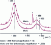 Figure 22 - Comparison between direct analysis of a single fiber or a set of 1,500 fibers