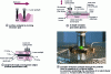 Figure 4 - Microanalysis and Raman imaging configurations