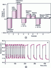 Figure 12 - Responses from a sensor based on doped polypyrrole 