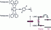 Figure 5 - Chemical structure and operating principle of a polymer TNT sensor 