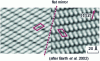 Figure 10 - Example of chiral domains deposited on Ag (111)