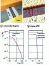 Figure 8 - Self-assembled nanotube transistor