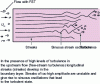 Figure 2 - Streaks developing in a boundary layer in the presence of high levels of turbulence in the upstream flow (free-stream turbulence) (from )