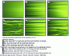 Figure 9 - Flow visualization by smoke illumination (from )