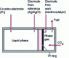 Figure 7 - Semi-continuous reaction cell