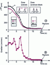 Figure 14 - Vertically separated arms