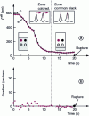 Figure 15 - Horizontally separated arms