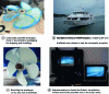 Figure 7 - Propeller tests on a passenger ship (source: Loiretech/Méca/Naval Group/Navix)