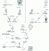 Figure 2 - Conceptual map linking and illustrating the various concepts evoked