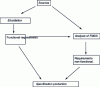 Figure 14 - Elucidation process with reliability, availability, maintainability and safety analyses