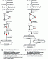 Figure 9 - Two types of compositional approach