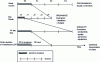 Figure 3 - Time horizons