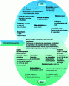 Figure 8 - Lean manufacturing, green manufacturing and intersections (figure adapted from [8])