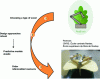 Figure 35 - Approach used to create a wooden industrial robot as part of the RobEcolo project