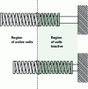 Figure 7 - Jack spring kinematics [24]: between the top and bottom diagrams, the number of active coils has been changed, allowing the spring stiffness to be varied.