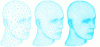 Figure 20 - Three meshes corresponding to decreasing chord errors (source: Denis Zorin and Peter Schröder).