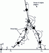 Figure 7 - Five-body robot modeling