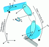 Figure 4 - Locomotion kinematic chain