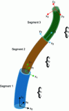 Figure 3 - Distribution of the three segments for three fully curved tubes. The reference frame {x0, y0, z0} is fixed at the base of the first segment and thus of the robot