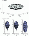 Figure 8 - Covered workspace with tube lengths ρi...