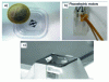 Figure 16 - Views of the Squipabot robotic device: (a) the compliant structure, (b) the actuation board with two piezoelectric motors, (c) the assembly after integration with the mirror at the top [9].