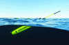 Figure 7 - ACSA's SeaExplorer glider (2.9 m, 59 kg) communicating on the surface (credit: ACSA)