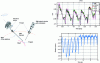 Figure 17 - Principle of the Cardiolock system for compensating cardiac and respiratory movements. Stabilizer movement is measured by a high-speed camera (500 Hz). A prediction algorithm (AM amplitude modulation) is used (curves top right in red) to anticipate cardiac movements (black signal top right). This algorithm is integrated into a ...